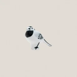 Lavandera Blanca