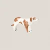 Perro Nº1