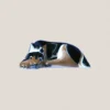Perro Nº 2 Acostado