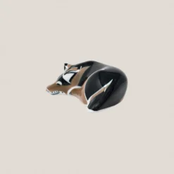 Perro Nº 2 Acostado