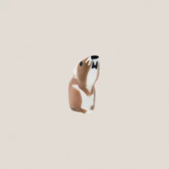 Rata