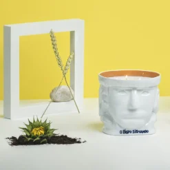 Vela Aromática Bispo Sisnando